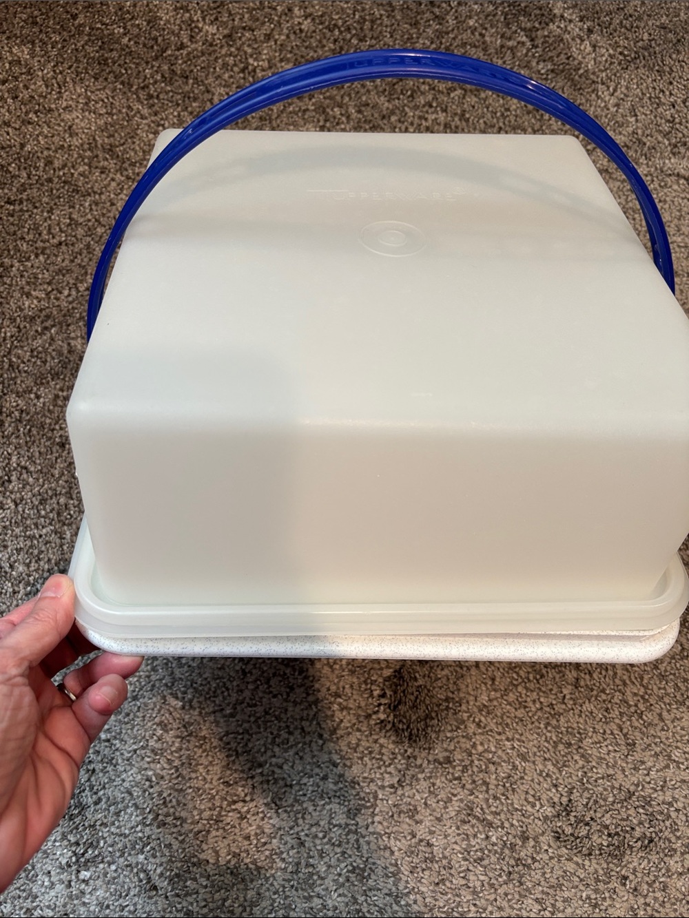 Tupperware White Cake Carrier with Blue Handle